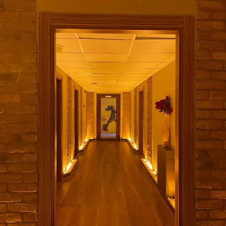 Royal Inci Hotel Istanboel